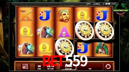 A Experiência Imersiva dos Cassinos Ao Vivo no bet559